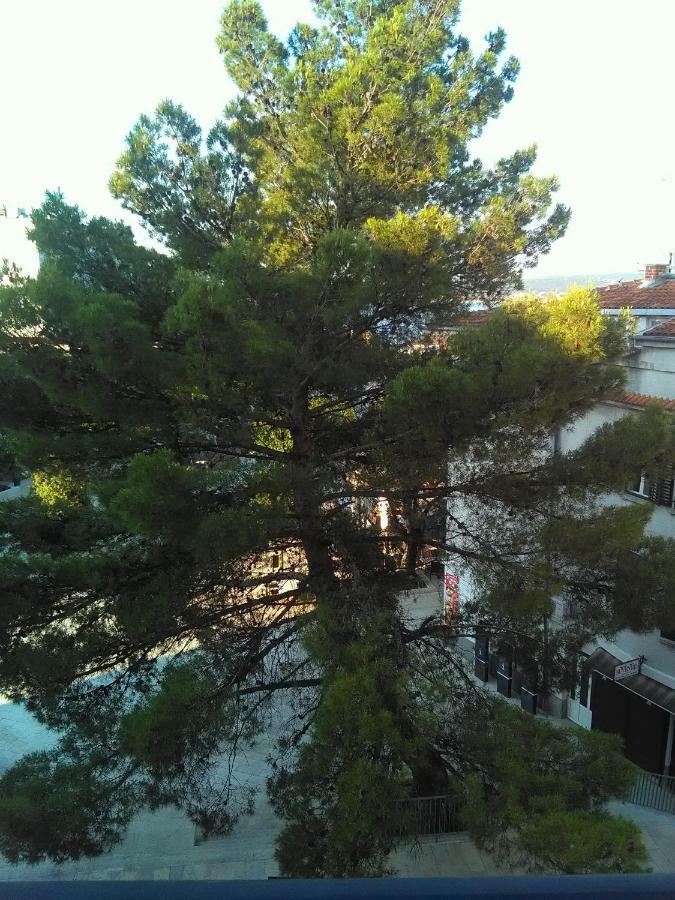 Apartment Sandra 2+2 *** ซริกเวนิซา ภายนอก รูปภาพ